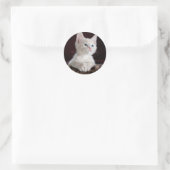 Sticker Rond Super mignon Kitten blanc (Sac)