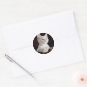 Sticker Rond Super mignon Kitten blanc (Enveloppe)
