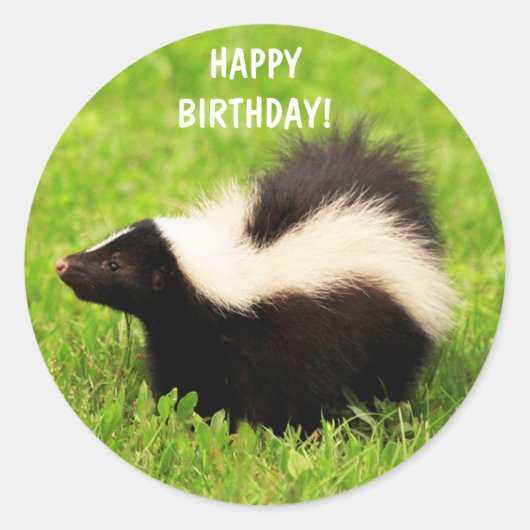 Sticker Rond Super mignonne Skunk Anniversaire (Devant)