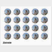 Sticker Rond Superbe perroquet gris africain (Feuille)