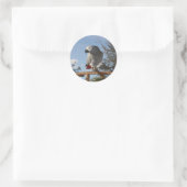 Sticker Rond Superbe perroquet gris africain (Sac)
