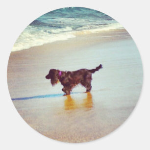 Sticker Rond Sur la plage