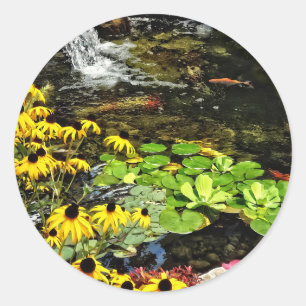 Sticker Rond Susans À Oeil Noir Par Koi Pond