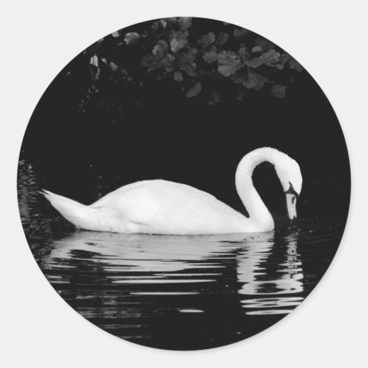 Sticker Rond Swan, Roath Park, Cardiff. (Devant)
