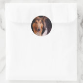 Sticker Rond Sweet Collie (Sac)