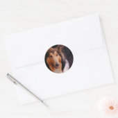 Sticker Rond Sweet Collie (Enveloppe)