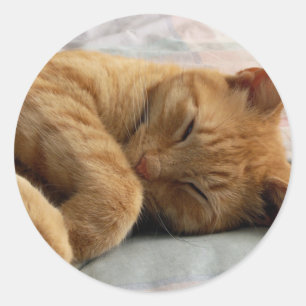 Sticker Rond Sweet Dreams