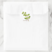 Sticker rond Sweet Marjoram (Sac)