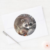 Sticker Rond Sweet Raccoon (Enveloppe)