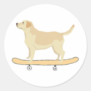 Sticker Rond T Shirt Cadeau Chien Labrador Skateboard Drôle