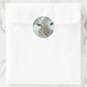 Sticker Rond Tabby blanc et orange (Sac)