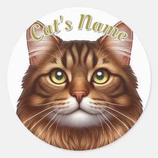 Sticker Rond Tabby Brown à poil joli ・ Personnalisé