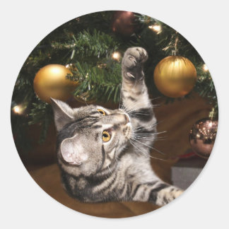 Sticker Rond Tabby cat et sapin de Noël