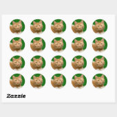Sticker Rond Tabby de Noël orange (Feuille)
