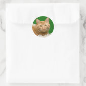Sticker Rond Tabby de Noël orange (Sac)
