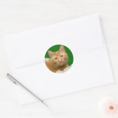 Sticker Rond Tabby de Noël orange (Enveloppe)