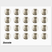 Sticker Rond Tabby Kitty (Feuille)
