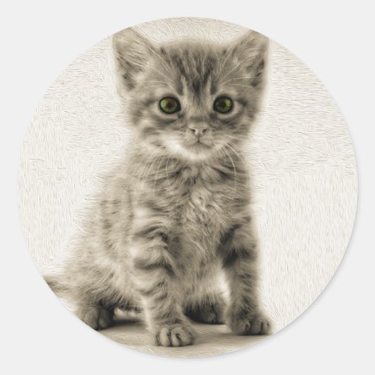 Sticker Rond Tabby Kitty (Devant)