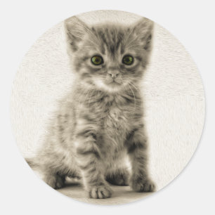 Sticker Rond Tabby Kitty