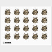Sticker Rond Tabby noir Maine Coon Cat (Feuille)