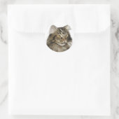 Sticker Rond Tabby noir Maine Coon Cat (Sac)