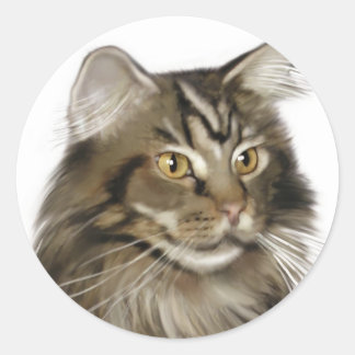 Sticker Rond Tabby noir Maine Coon Cat