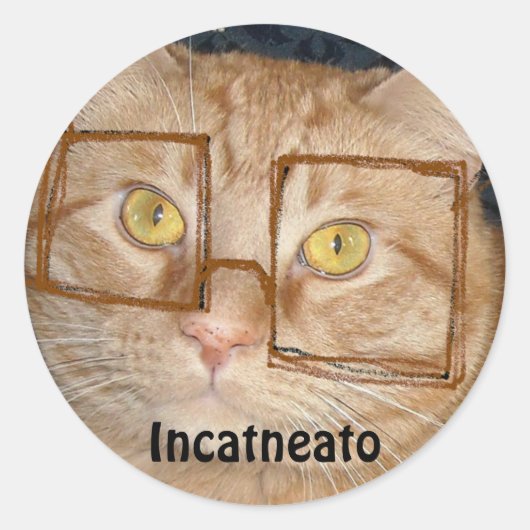 Sticker Rond Tabby Orange Chat/Humour Incognito (Devant)