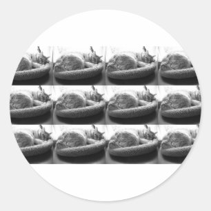 Sticker Rond Tabby orange dormant Chat/Photo noir et blanc