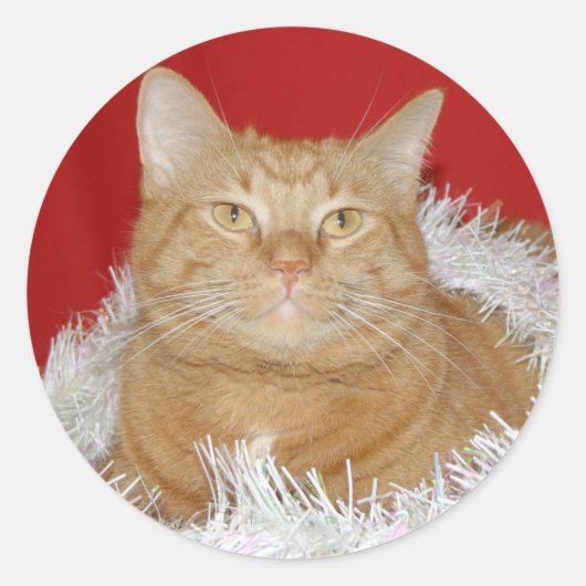 Sticker Rond Tabby orange Noël (Devant)