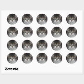 Sticker Rond Tabby Sibérien/Kitten Blanc (Feuille)