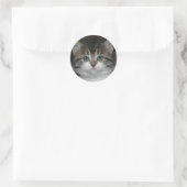 Sticker Rond Tabby Sibérien/Kitten Blanc (Sac)