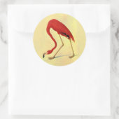 Sticker Rond Tableau Flamant rose américain Audubon (Sac)