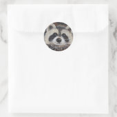 Sticker Rond Tableau Raccoon (Sac)
