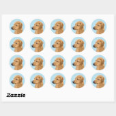 Sticker Rond Tableau Rhodesian Ridgeback - Art Chien original (Feuille)