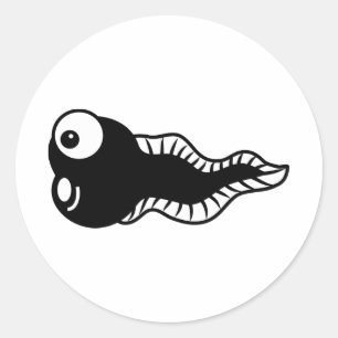 Sticker Rond Tadpole