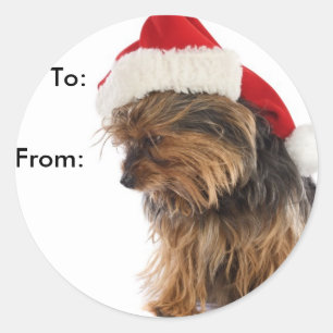 Sticker Rond Tags cadeaux Yorkie Puppy