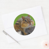 Sticker Rond tamia (Enveloppe)