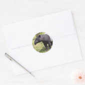 Sticker Rond Tapir malais sur herbe (Enveloppe)