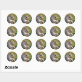 Sticker Rond T'as des noix ? (Feuille)