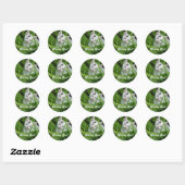 Sticker Rond T'as manqué Kitten (Feuille)