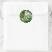 Sticker Rond T'as manqué Kitten (Sac)
