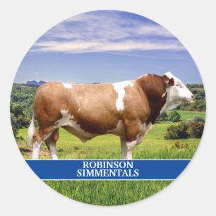 Sticker Rond Taureau Simmental dans le pâturage