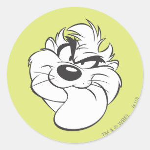 Sticker Rond TAZ™ Expressif 15
