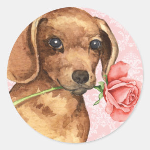 Sticker Rond Teckel rose de Valentine
