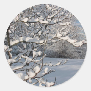 Sticker Rond Tempête d'hiver
