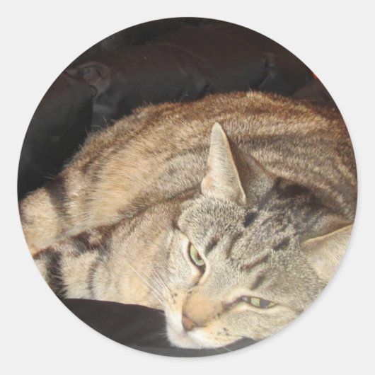 Sticker Rond Temps De Lutte Pour Indigo (Devant)