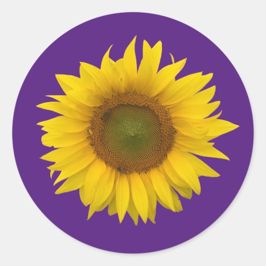 Sticker Rond Tendance Tournesol mou Floral pourpre (Devant)
