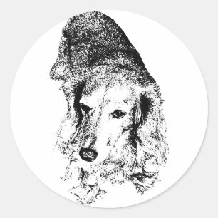 Sticker Rond Tenez bon – Dachshund