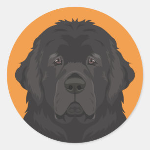 Sticker Rond Terre