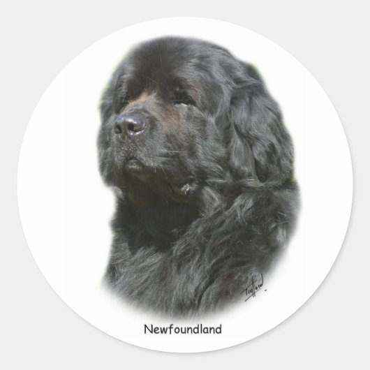 Sticker Rond Terre (Devant)